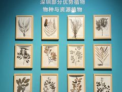 -深圳博物馆历史民俗馆