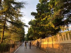 -八大关景区