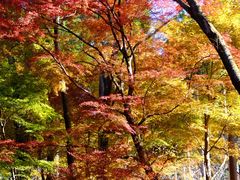 -三千院