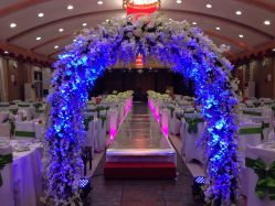 绿色夜场-雅奇婚庆(永乐园社区店)