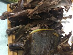 -食家鸽园