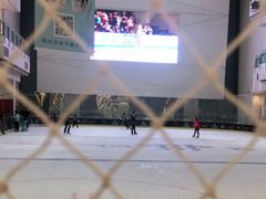 -冰纷万象滑冰场(二七万象城店)