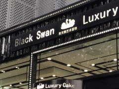 iphone_upload_pic-BLACKSWAN黑天鹅(环球店)