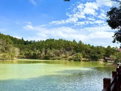 -广州白江湖森林公园