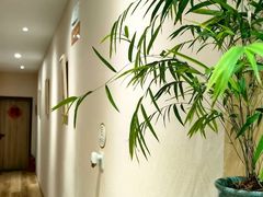 -隆德堂青瓷艺术·茶馆(故宫店)