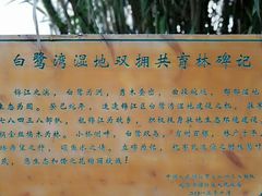 -白鹭湾湿地公园