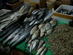 -尼甘布海鲜市场