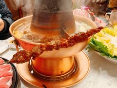 紫铜清汤锅底-东来顺饭庄(天坛店)