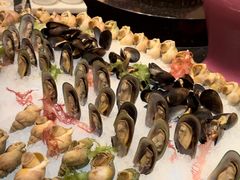 -咖啡苑 - 蔚藍夏日限定主题(永利皇宫店)