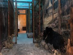 -北京动物园-畅观楼