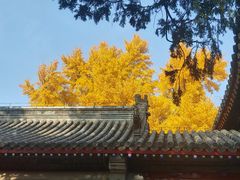 -承恩寺