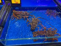 -万宝海鲜舫(劳动公园店)