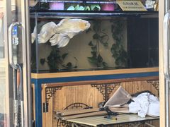 -牛栏山市场