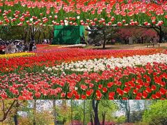 -国家植物园