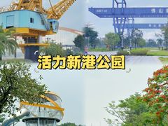 -顺峰山公园