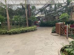 -南宫五洲植物乐园