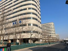 -首都医科大学附属北京天坛医院