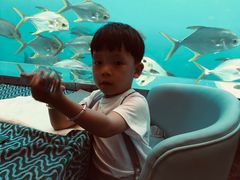 -瑞德姆美人鱼海底演艺主题餐厅(亚龙湾店)