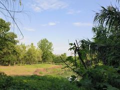 -白鹭湾湿地公园