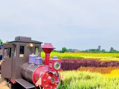 -稻梦空间冰雪小镇