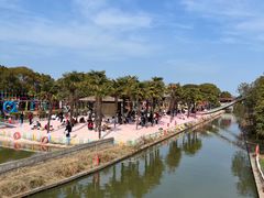 -苏州太湖西山岛开心农场