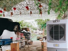 -马陆小张葡萄园农家乐