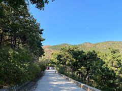 -北京西山国家森林公园