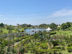 -紫颐香薰山谷景区