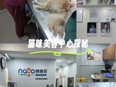 -纳吉亚猫专科动物诊疗中心(蒋宅口分院)