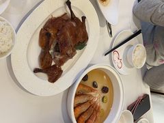 -圆苑(金茂店)