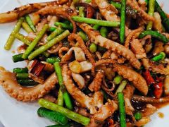 辣炒八带-天津乾毓德饭庄·清真传统炒菜·海鲜烧烤(咸阳路店)