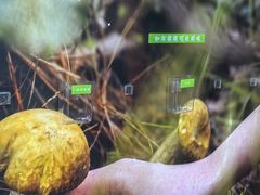 -云海肴·汽锅鸡·云南代表菜(天山百盛优客店)