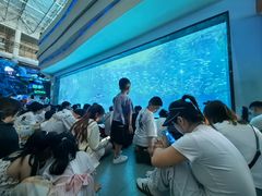 -海合安成都极地海洋公园