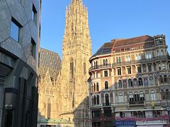 -斯蒂芬主教座堂(Stephansdom)