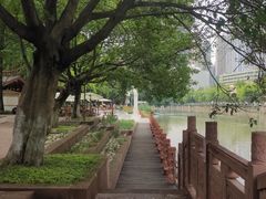 -成都市活水公园