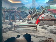 -武汉动物园