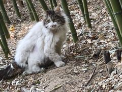 -红螺寺