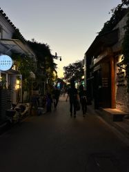 -野鸽脏辫·美式编发专项店