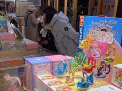 -猫的天空之城概念书店(丽江古城饮玉巷店)