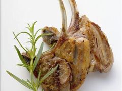 -欢乐牧人蒙古炭烤羊腿(四平路店)