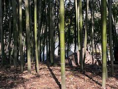 -包公祠
