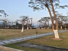 -芒洲湿地公园