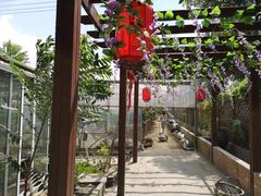 -美家乐农庄·露营·团建(大治路店)