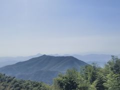 -径山花海