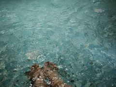 -涨巢·潮玩水疗局