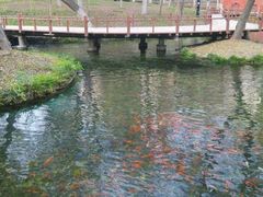 -水磨沟公园