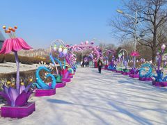 -沈阳奥体冰雪嘉年华
