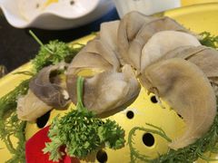 -一斗火锅·招财羊毛肚(北温泉九号店)