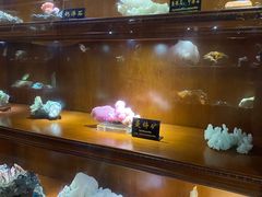 -青岛德国总督楼旧址博物馆