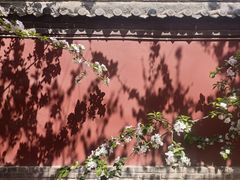 -隆兴寺